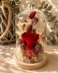 Rose éternelle rouge et fleurs séchées sous cloche de verre