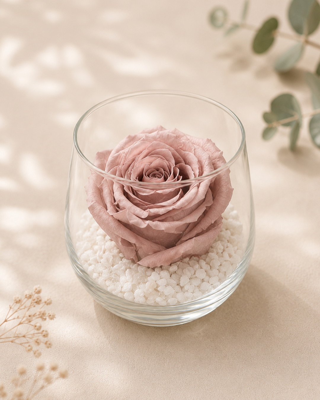 Rose éternelle orange sous cloche
