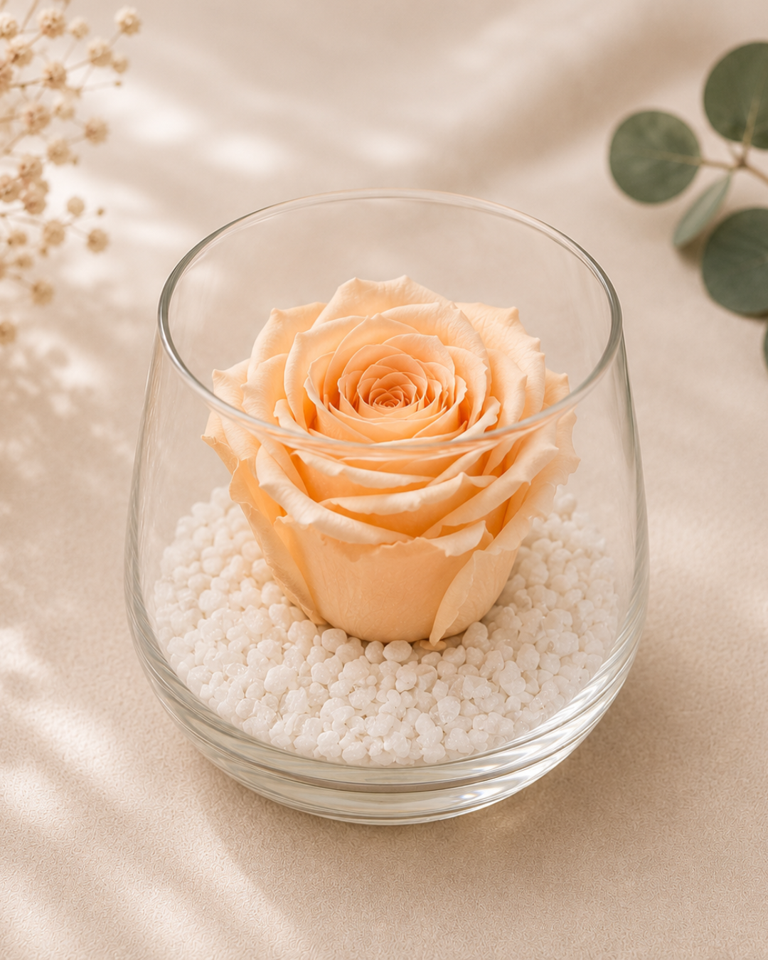Rose éternelle rose vif sous cloche