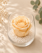 Assortiment de roses éternelles colorées sous cloche