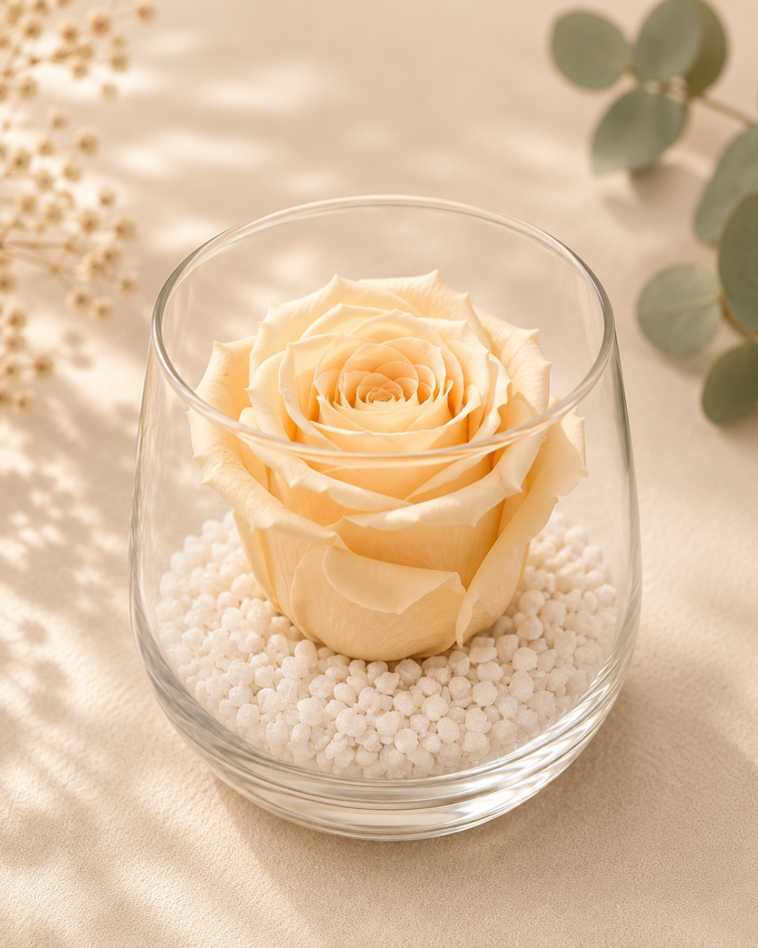 Assortiment de roses éternelles colorées sous cloche