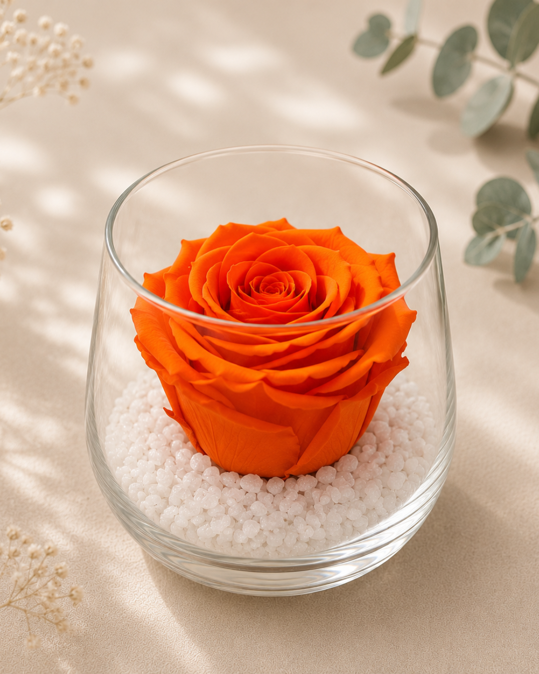 Rose éternelle sous cloche