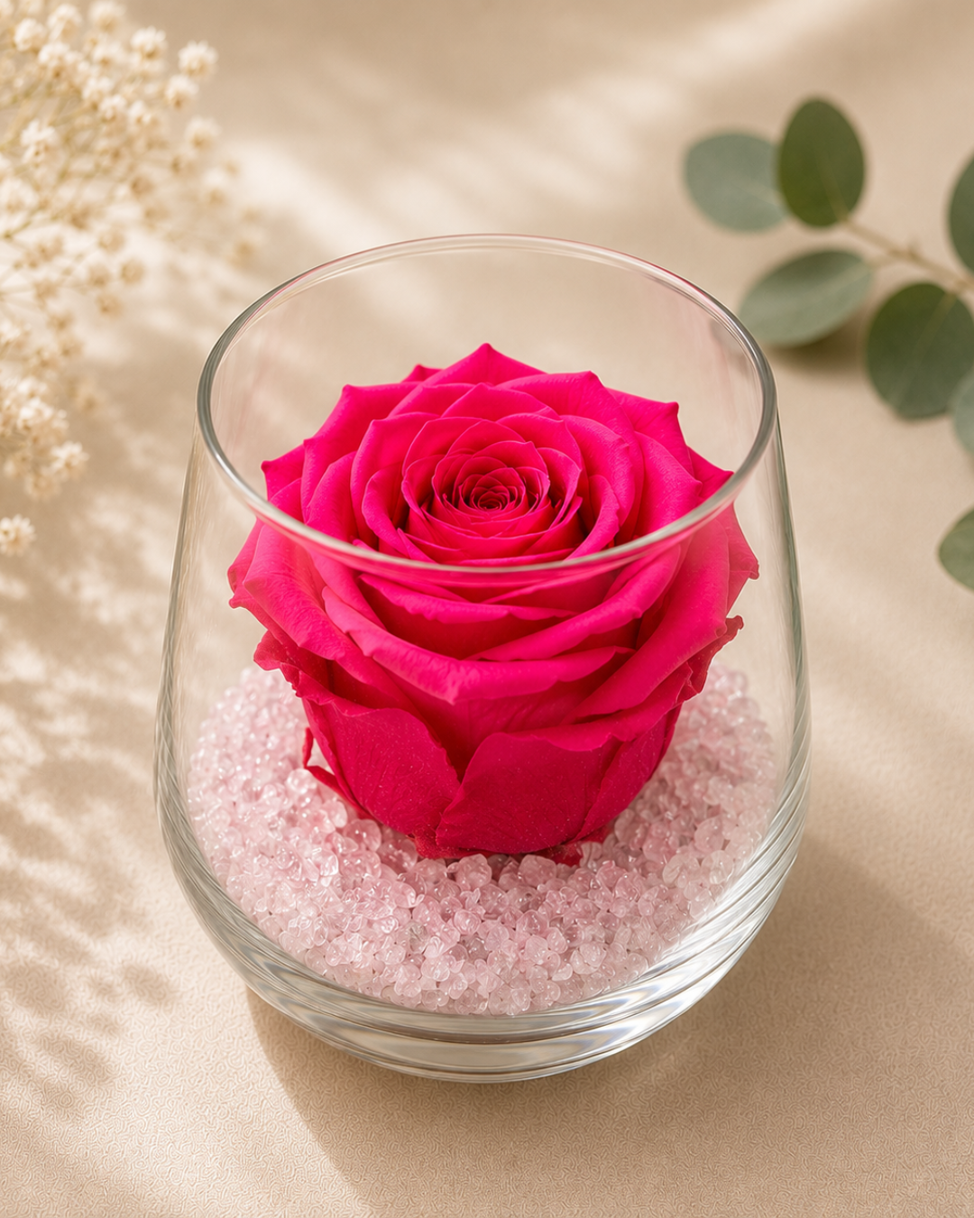 Rose éternelle sous cloche