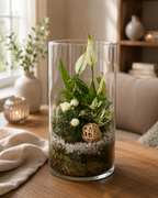 Terrarium