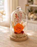 Rose éternelle et fleurs séchées sous cloche